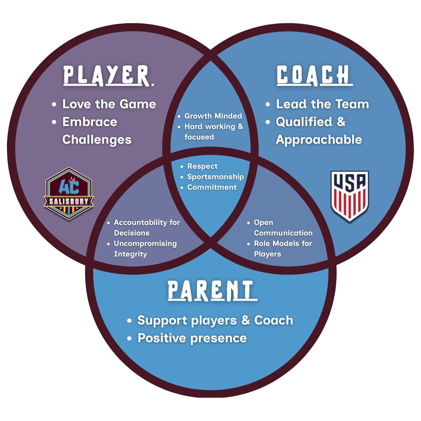 ACS Website Graphic